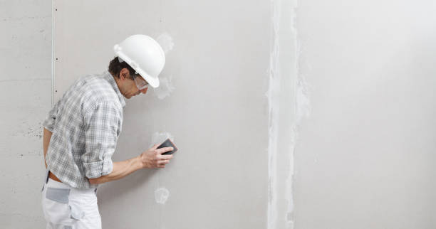 Best Drywall Sanding and Smoothing  in Lake Park, IA