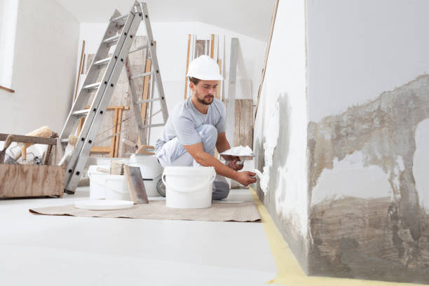 Best Drywall Sanding and Smoothing  in Lake Park, IA