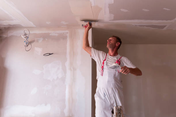 Best Drywall Installation  in Lake Park, IA